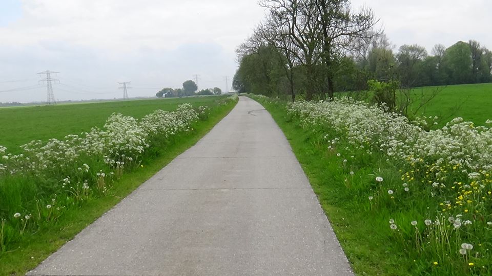 18403142_449417188745330_3169479972016618210_n