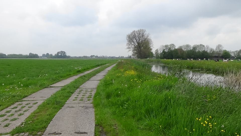 18403446_449419362078446_5894381721894609259_n