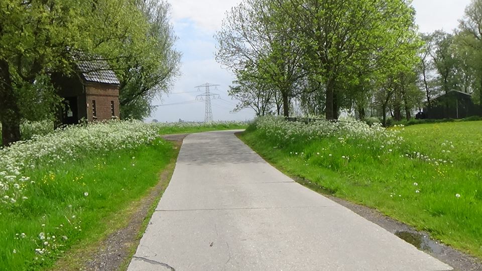 18403531_449416865412029_725726777801110187_n