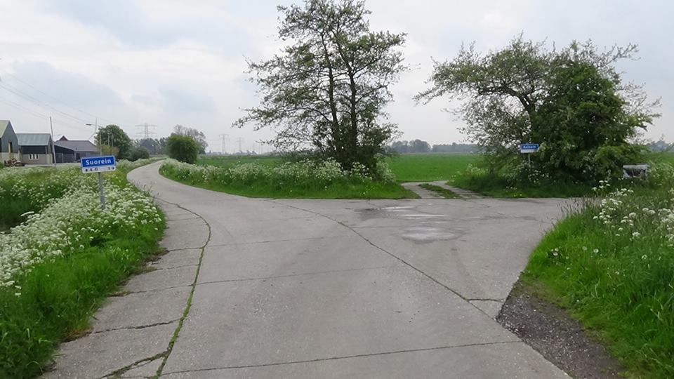 18424076_449419155411800_2112797410810225304_n