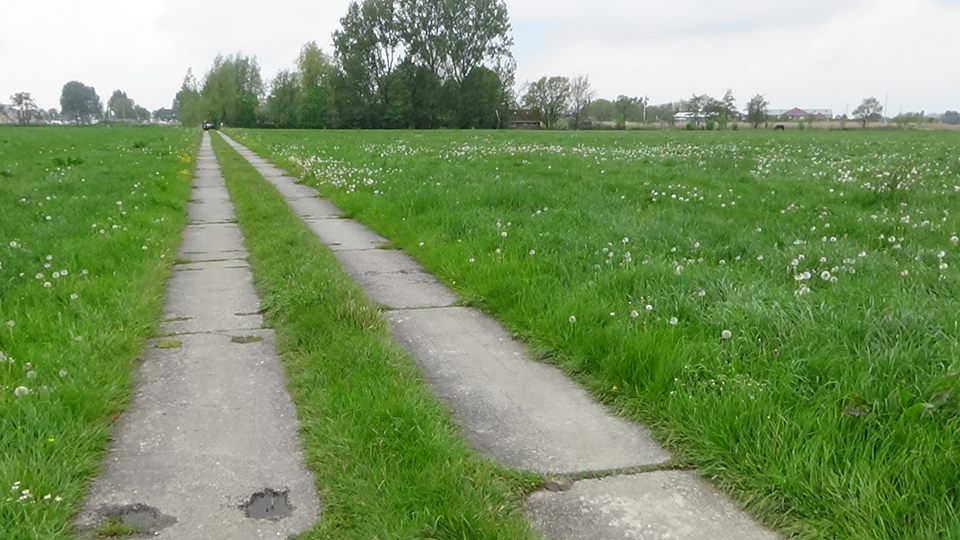 18424147_449419575411758_2612576545341207677_n