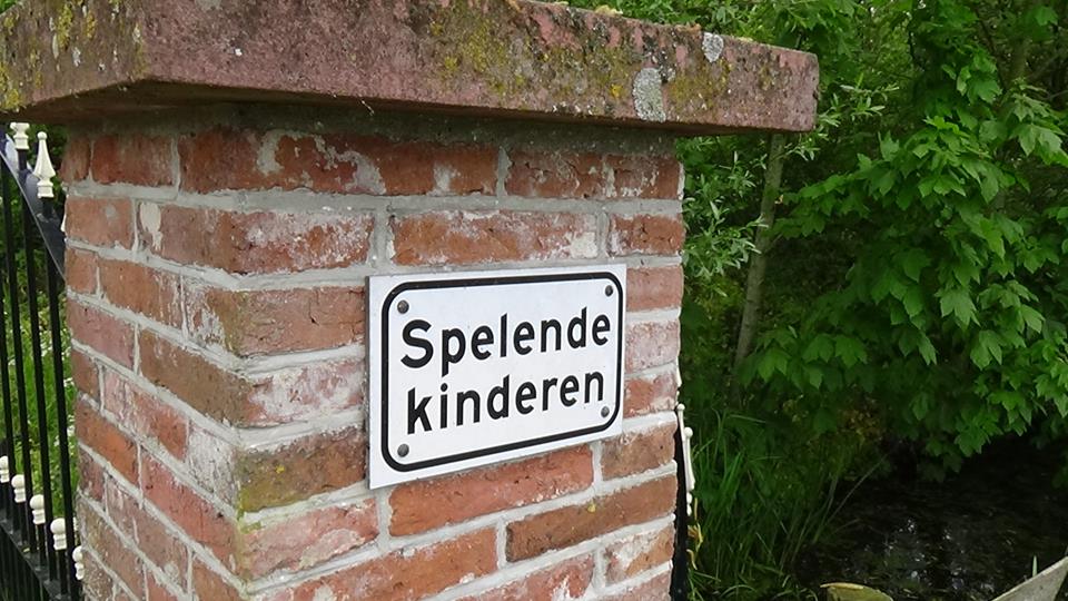 18424153_449419715411744_9089617452561827461_n