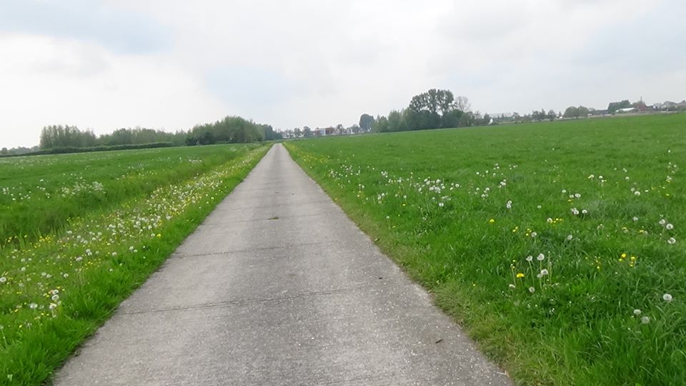 18425115_449419455411770_603998835296941961_n