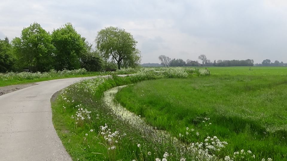 18425116_449417525411963_4757258340728479878_n