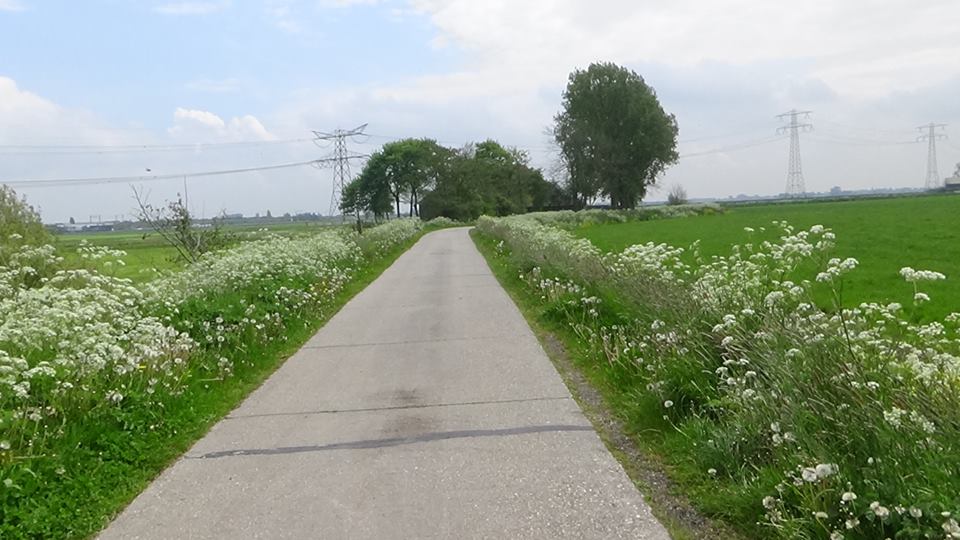 18446597_449418188745230_857352862640127311_n