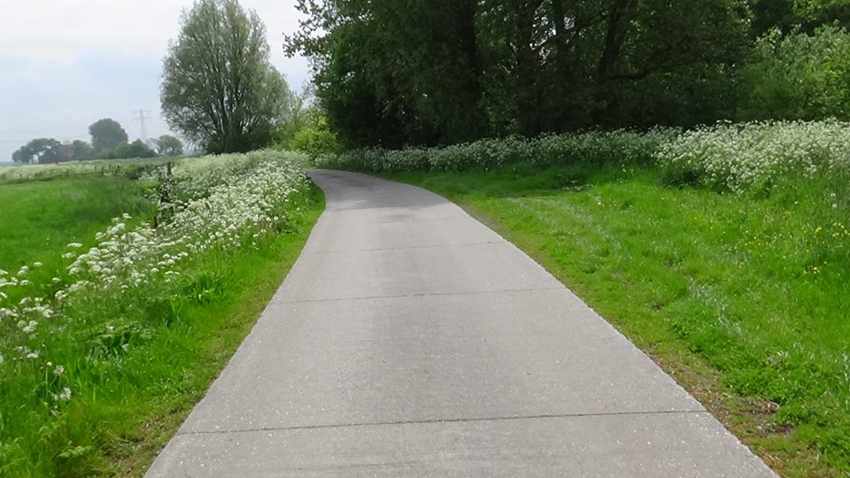 18446927_449417458745303_8661891073538163556_n