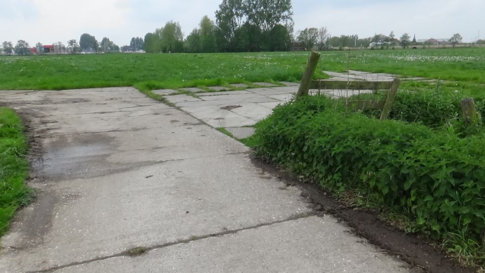 18485753_449419495411766_2806216523883116484_n